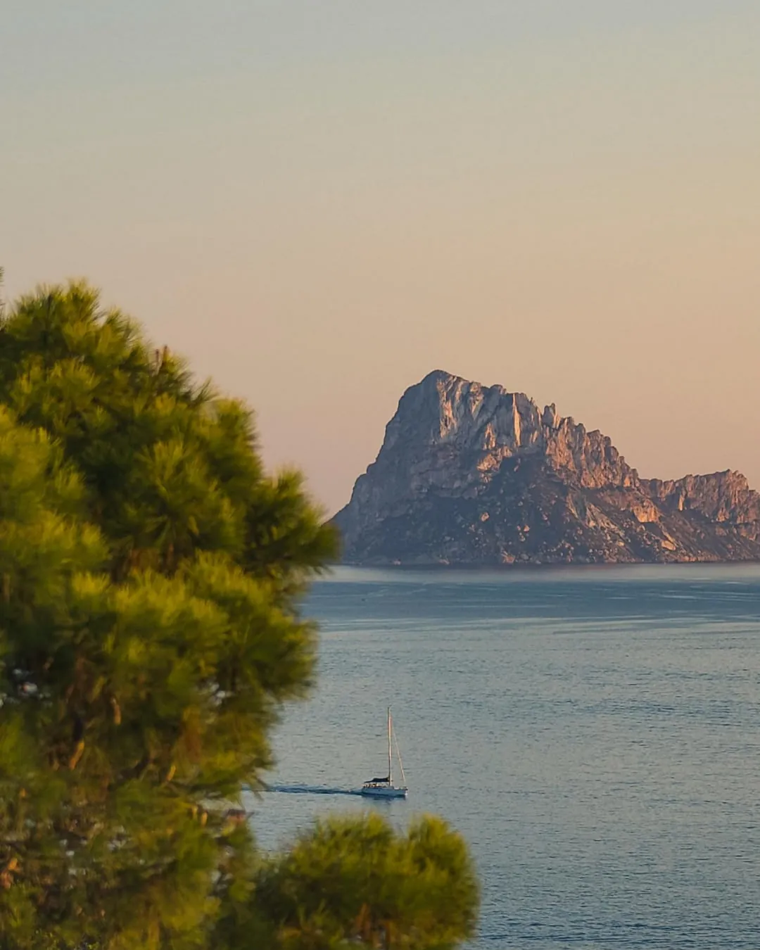 Es Vedrà al atardecer, con el cielo teñido de rosa, un pino en primer plano y un velero cruzando la bahía.